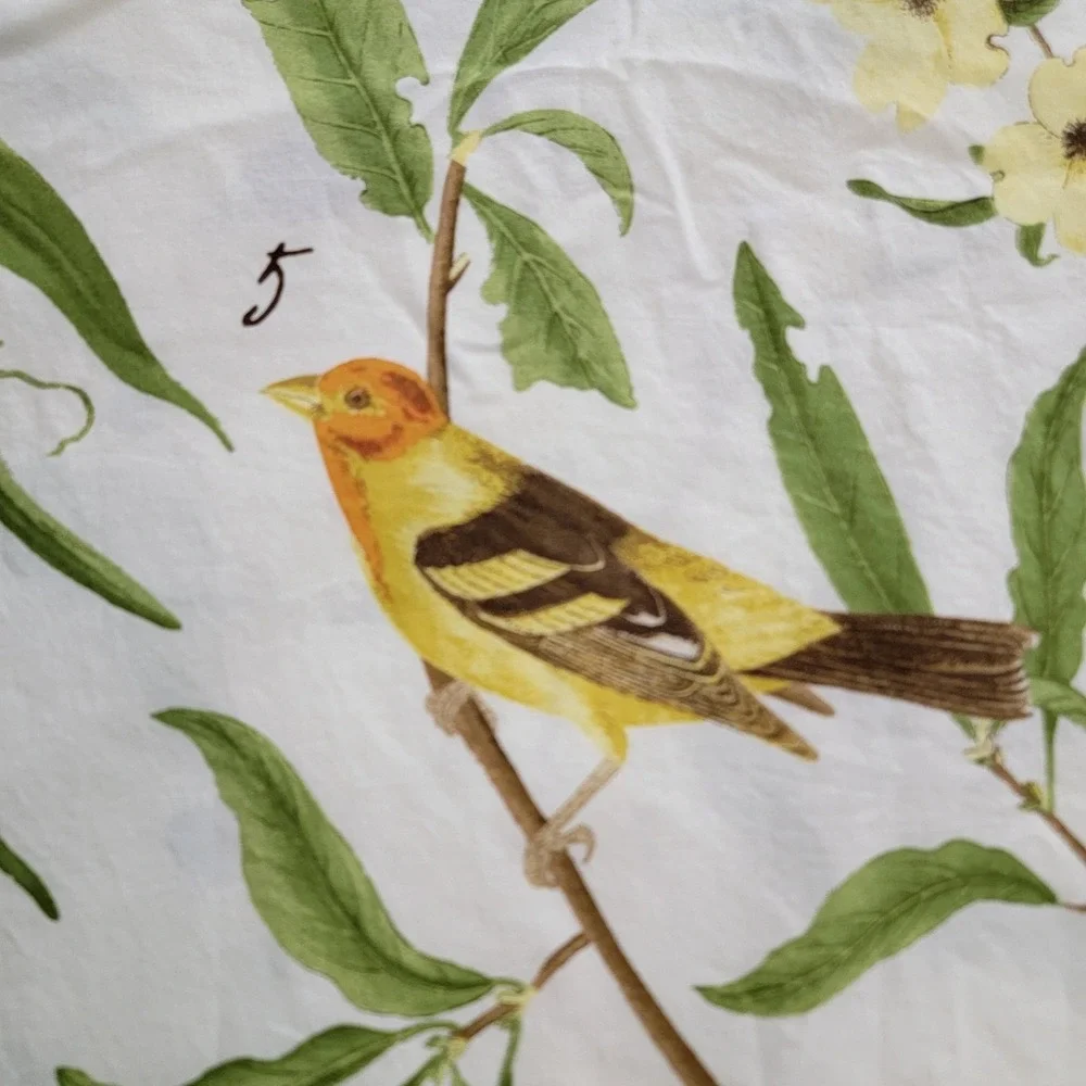 Pottery Barn Spring Sparrow Duvet Cover Only Full Queen EUC Birds Botanical 2010